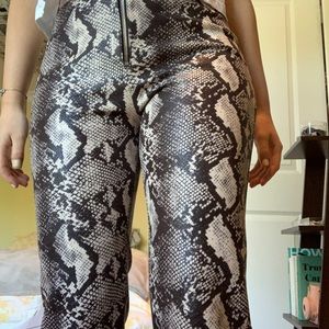 Snake skin pants from urban outfitters